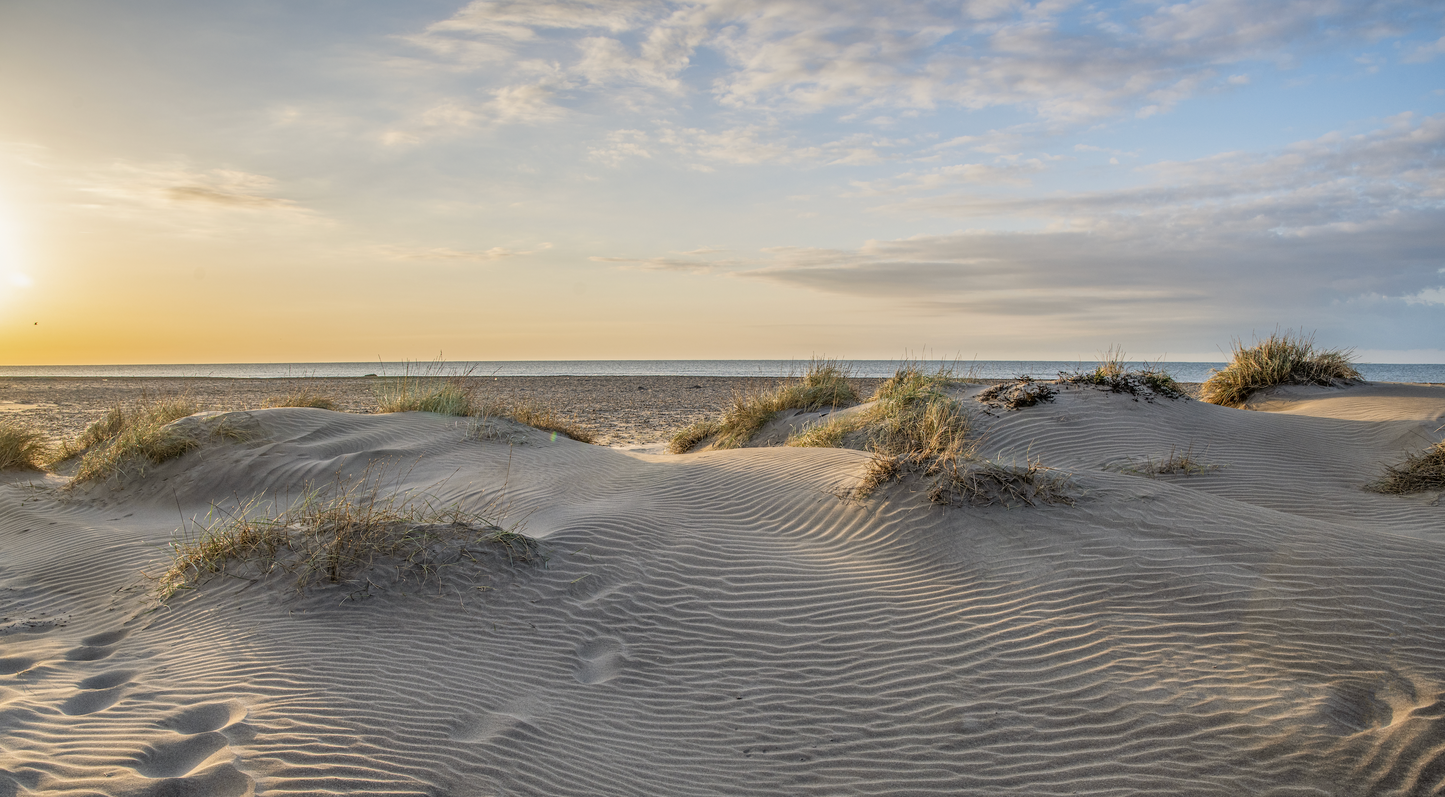 DEUX TIERS CAMARGUE- projet unique